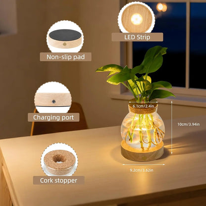 Plant Propagation Station with Wooden Saucer, Glass Terrarium with Stepless Dimming Function Glass Container Vase Jars Gardening Gifts for Mom Women Plant Lovers
