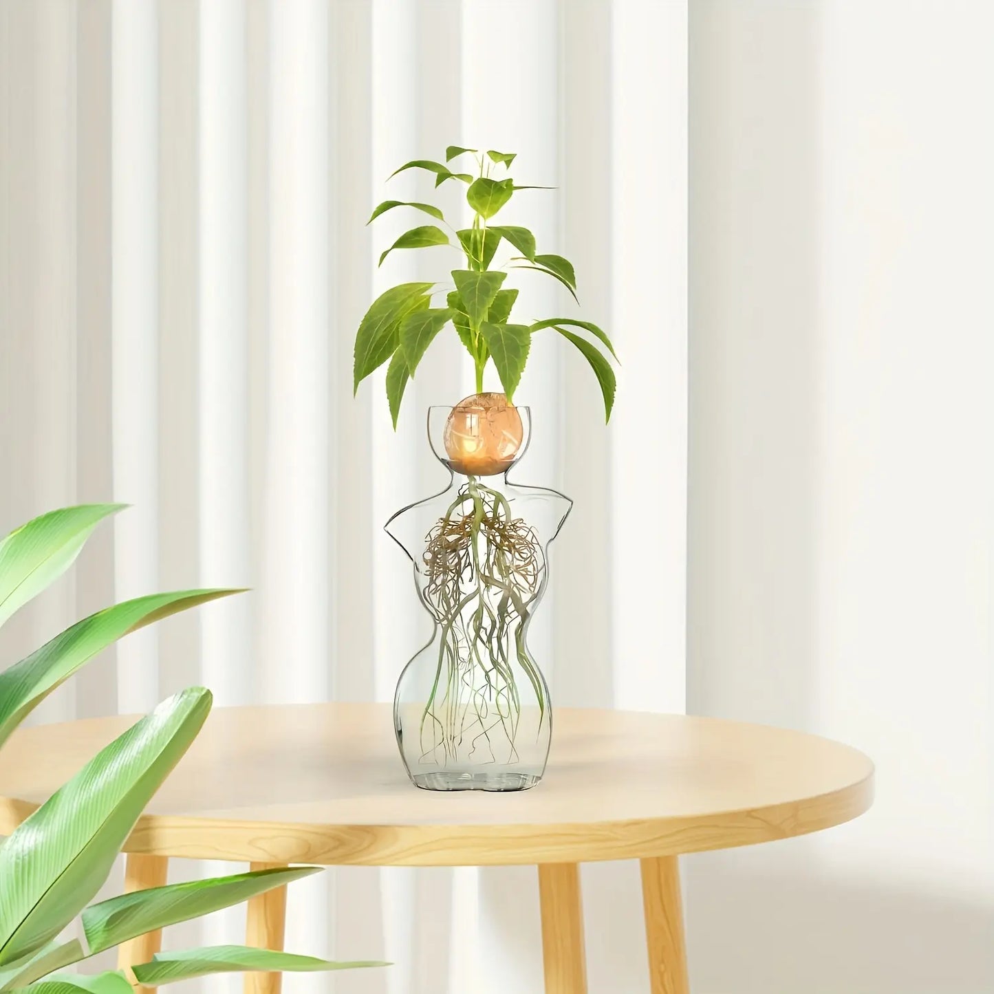 Elegant Female Silhouette Glass Vase for Plant Propagation & Flower Arrangements Perfect for Seed Starting Water Rooting Home Decor Ideal for Avocado Bulbs Plant Cuttings