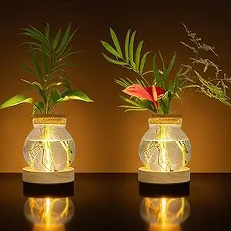 Plant Propagation Station with Wooden Saucer, Glass Terrarium with Stepless Dimming Function Glass Container Vase Jars Gardening Gifts for Mom Women Plant Lovers