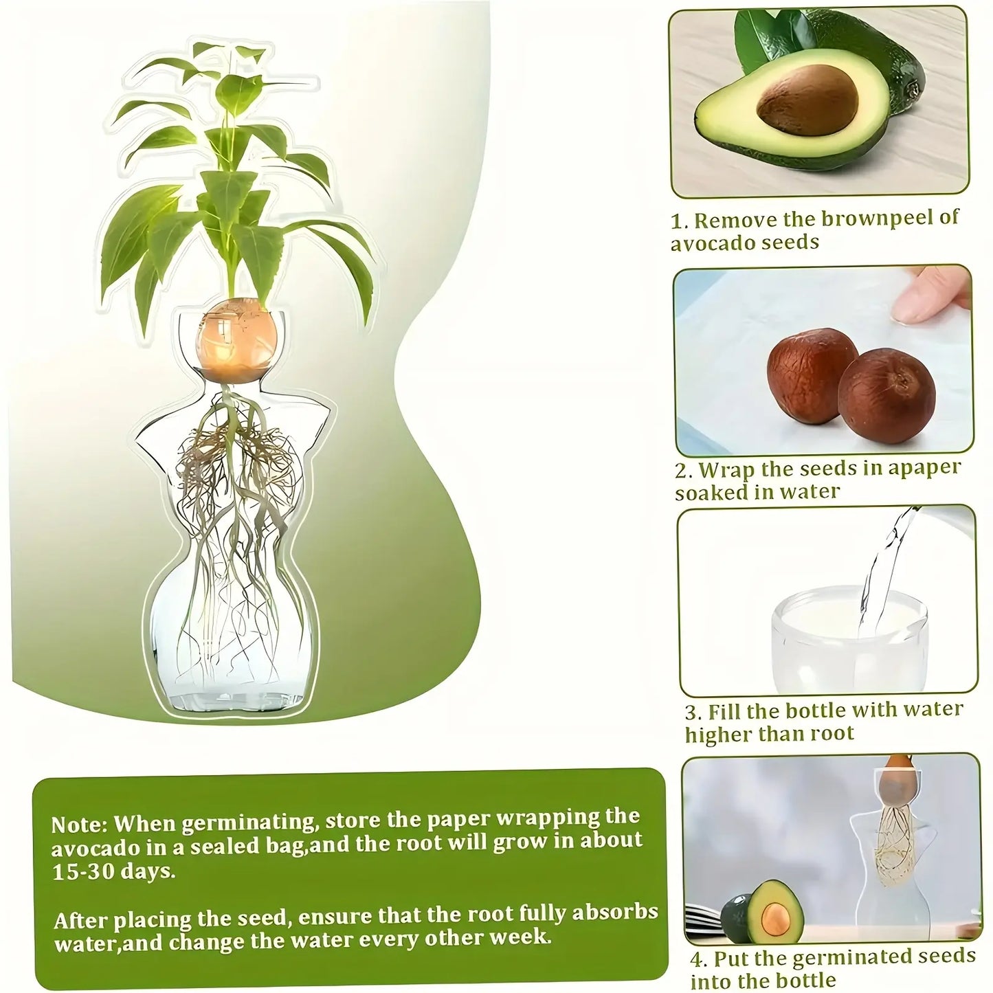 Elegant Female Silhouette Glass Vase for Plant Propagation & Flower Arrangements Perfect for Seed Starting Water Rooting Home Decor Ideal for Avocado Bulbs Plant Cuttings
