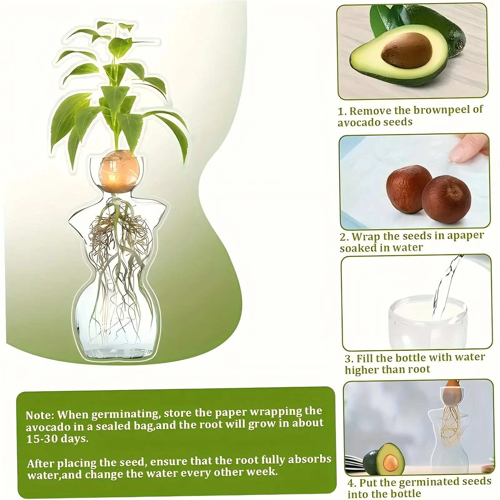 Elegant Female Silhouette Glass Vase for Plant Propagation & Flower Arrangements Perfect for Seed Starting Water Rooting Home Decor Ideal for Avocado Bulbs Plant Cuttings