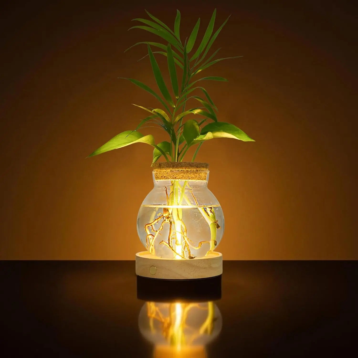Plant Propagation Station with Wooden Saucer, Glass Terrarium with Stepless Dimming Function Glass Container Vase Jars Gardening Gifts for Mom Women Plant Lovers