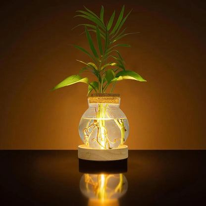 Plant Propagation Station with Wooden Saucer, Glass Terrarium with Stepless Dimming Function Glass Container Vase Jars Gardening Gifts for Mom Women Plant Lovers