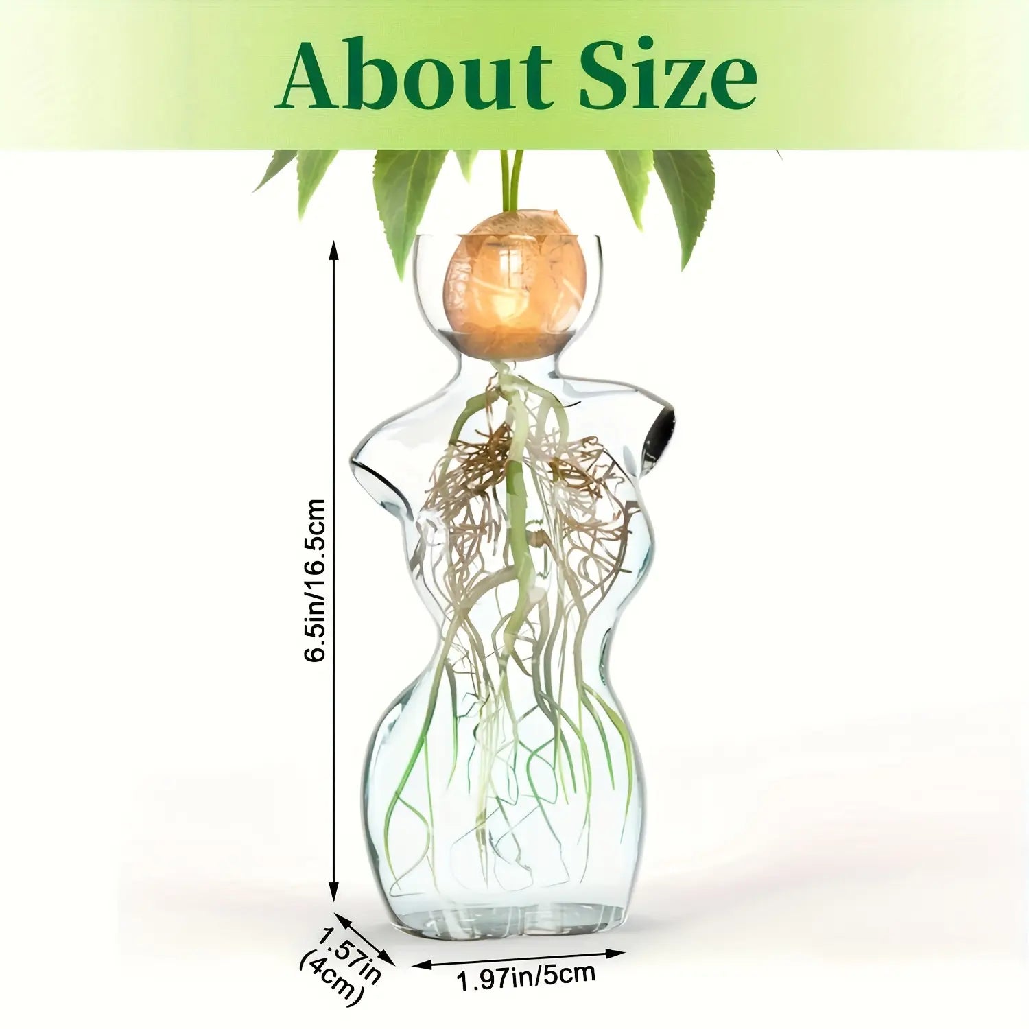 Elegant Female Silhouette Glass Vase for Plant Propagation & Flower Arrangements Perfect for Seed Starting Water Rooting Home Decor Ideal for Avocado Bulbs Plant Cuttings