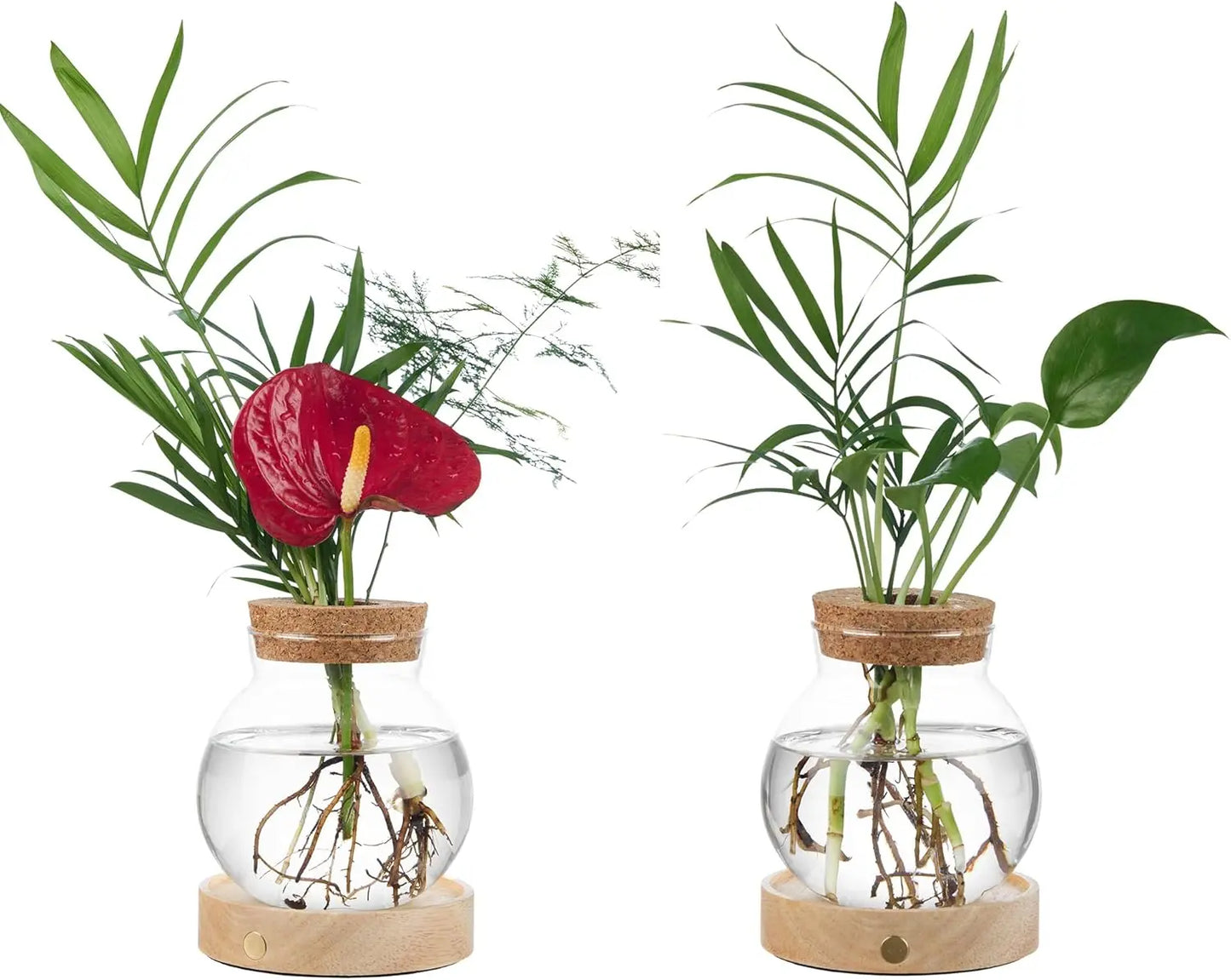 Plant Propagation Station with Wooden Saucer, Glass Terrarium with Stepless Dimming Function Glass Container Vase Jars Gardening Gifts for Mom Women Plant Lovers