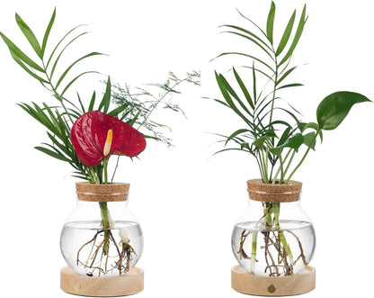 Plant Propagation Station with Wooden Saucer, Glass Terrarium with Stepless Dimming Function Glass Container Vase Jars Gardening Gifts for Mom Women Plant Lovers
